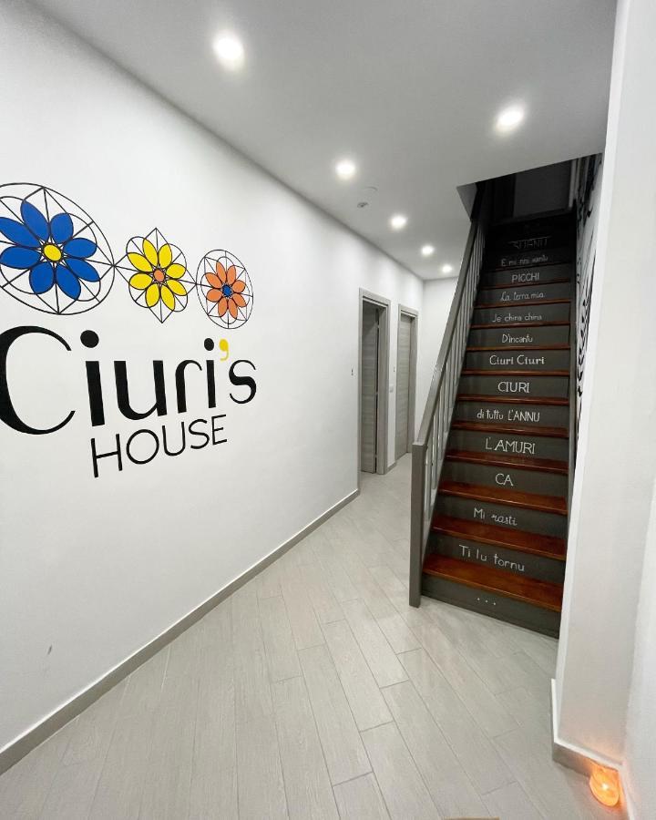 בית הארחה Ciuri's House